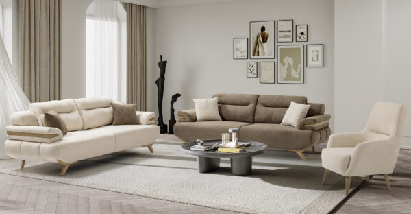 Royal-Koltuk-takimi (10)